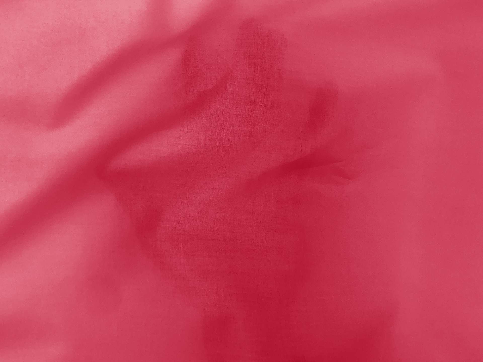 Cotton Lawn in Peony2