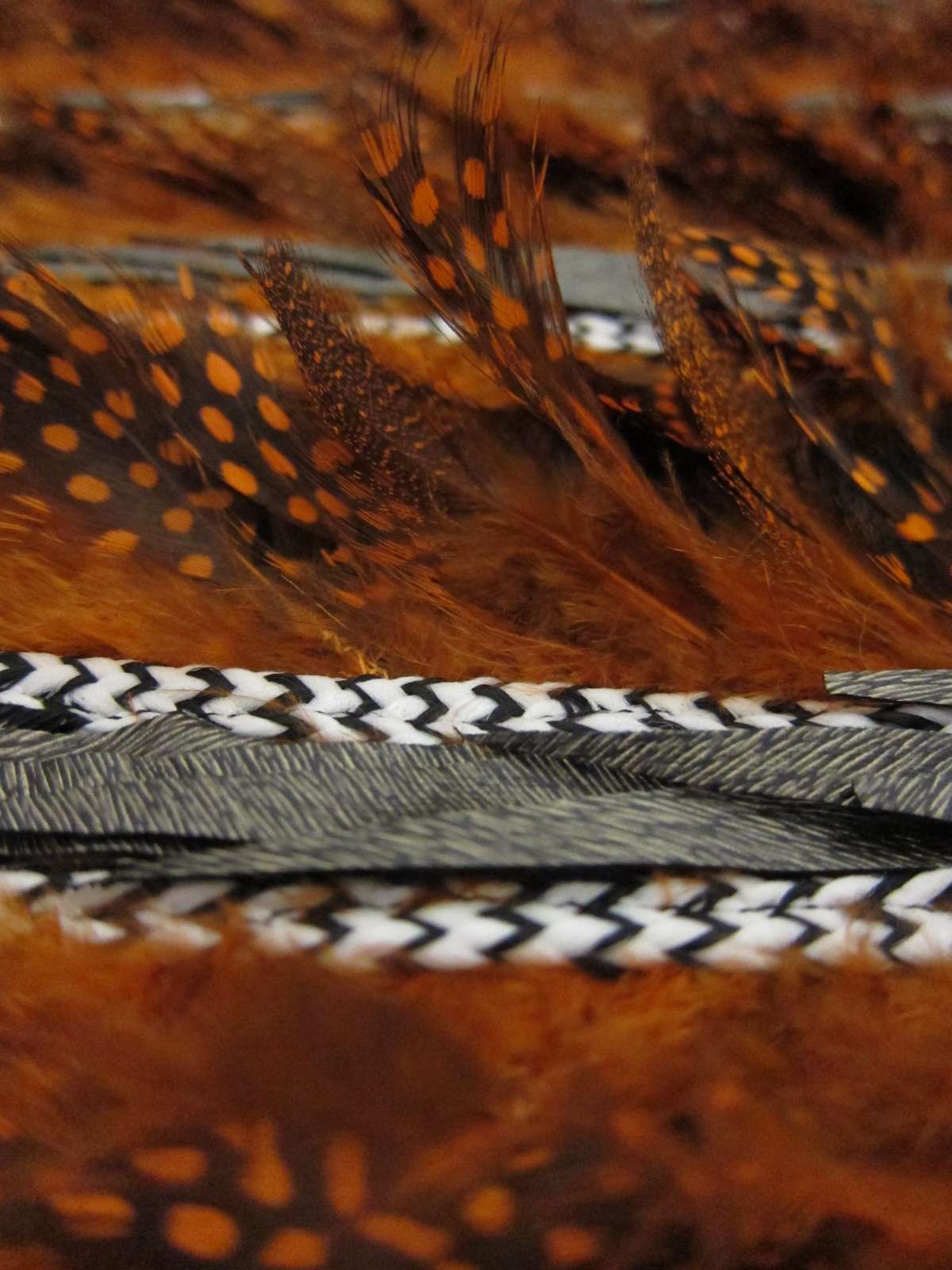 Novelty Feathers2