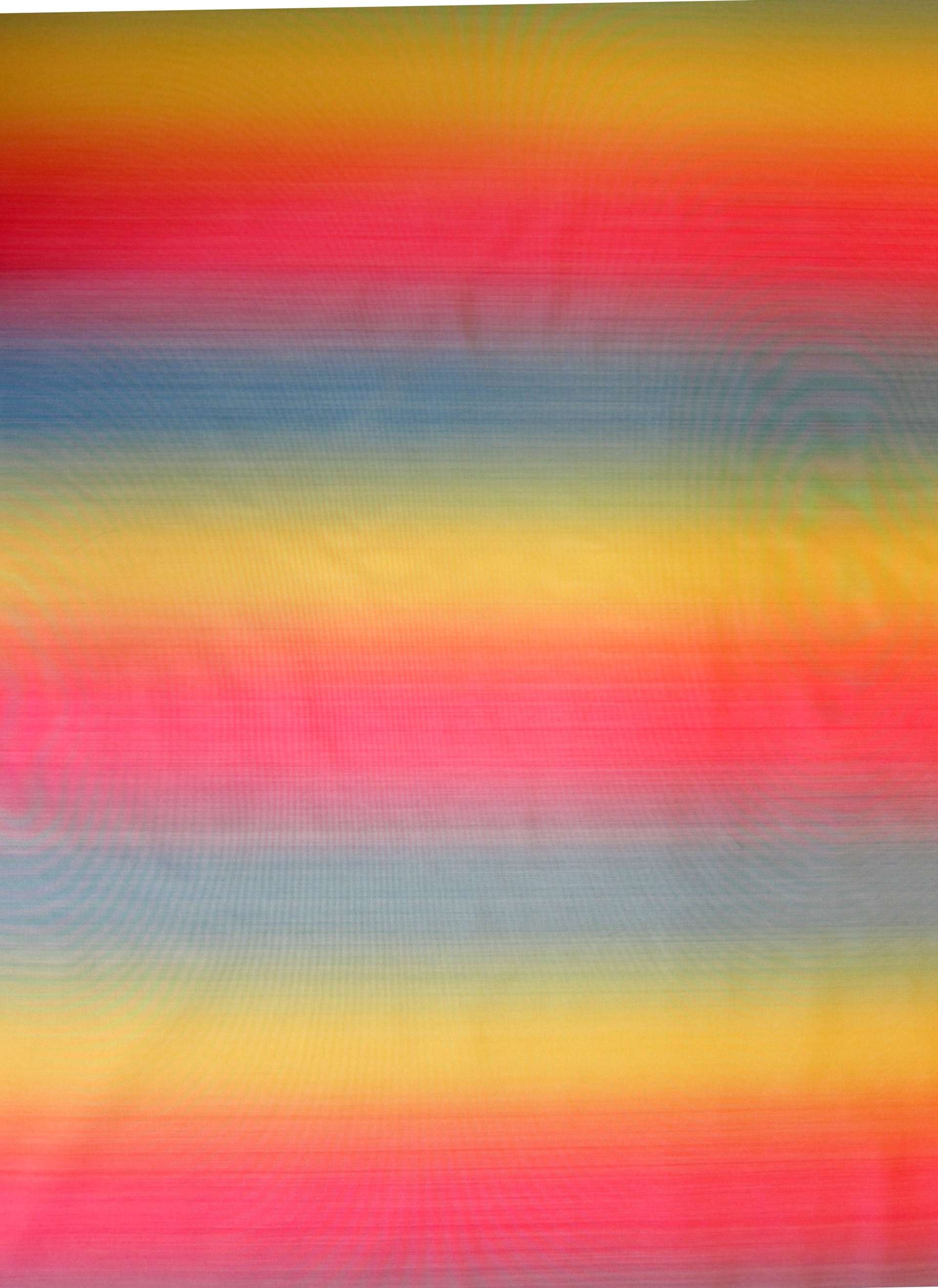 Silk Warp Printed Taffeta0