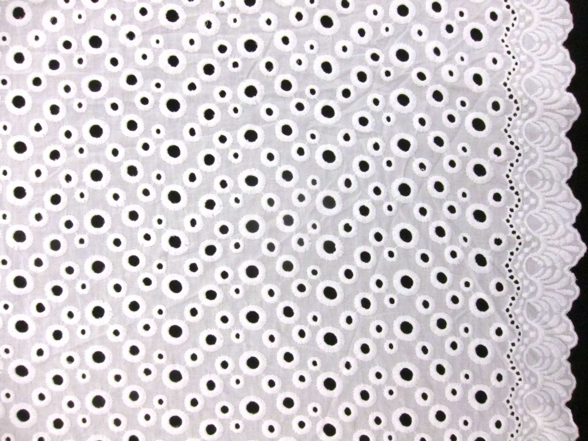 Cotton Eyelet in White0