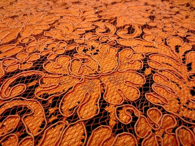 Alençon Lace2