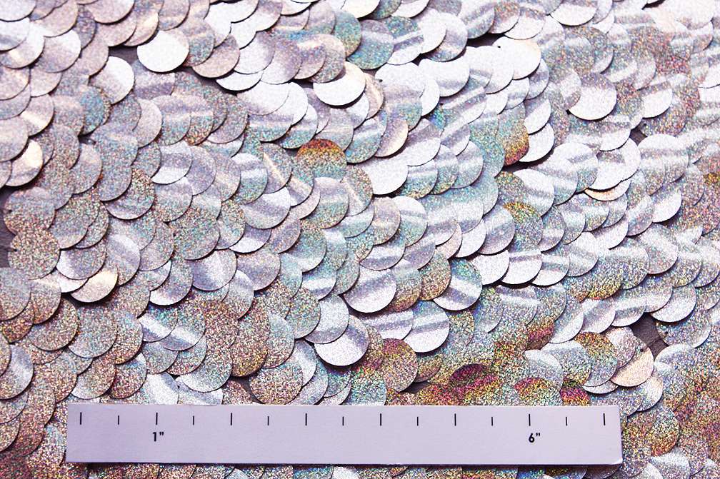 Paillettes on Silk Chiffon2