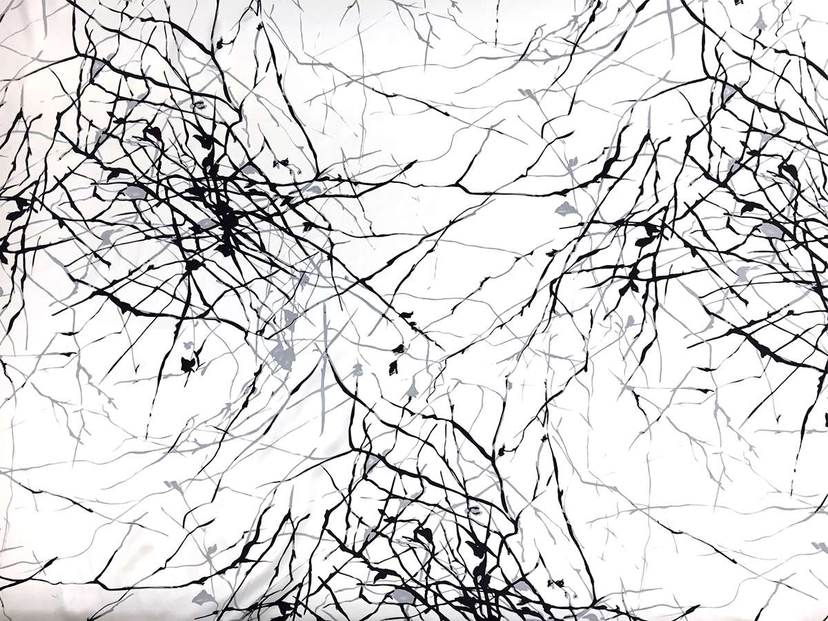 Printed Silk Charmeuse with Abstract Line Patterns0