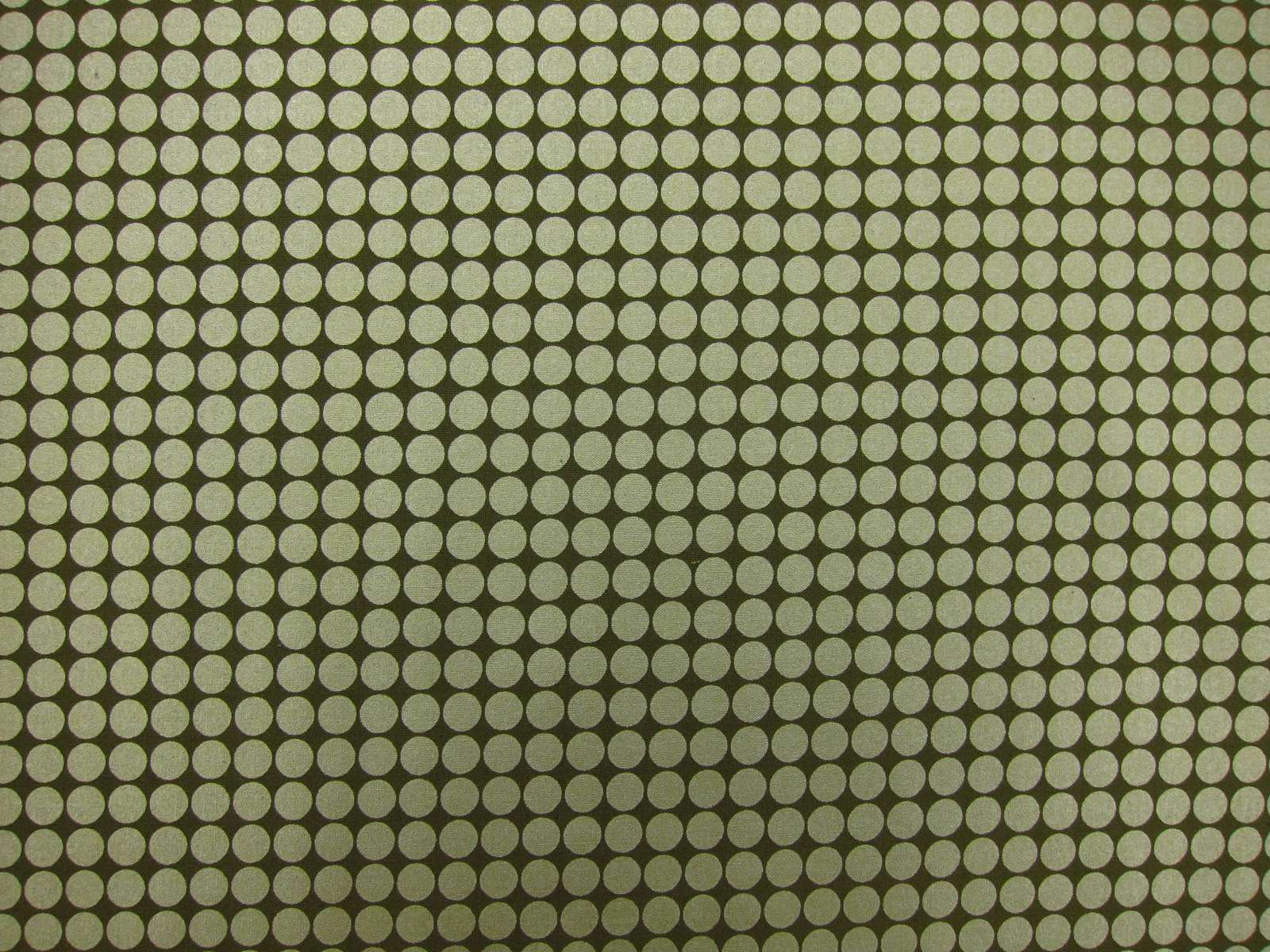 Cotton Broadcloth Print0