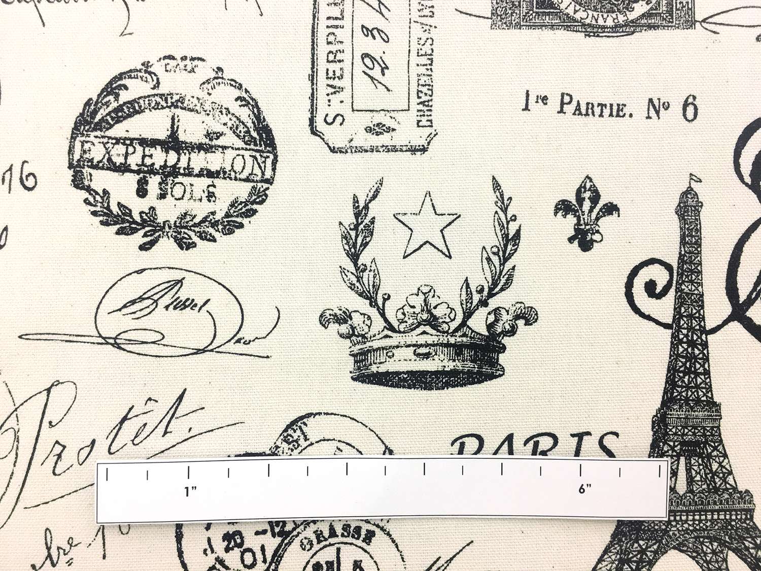 Cotton Canvas Parisian Print1