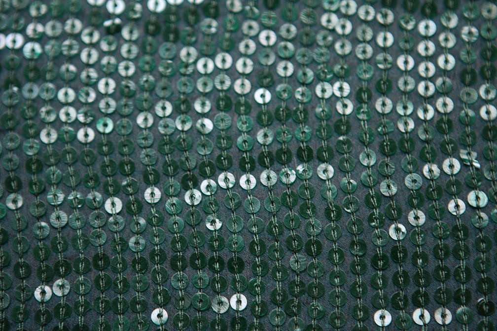 Sequins on Silk Chiffon2