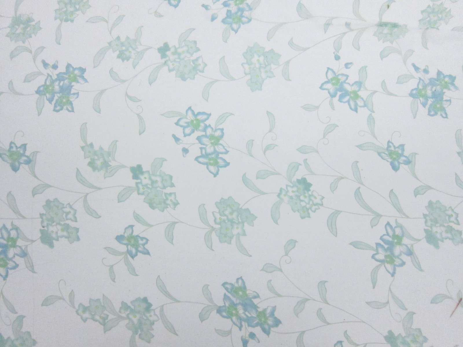 Printed Silk Crinkle Chiffon1