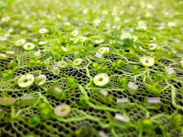Beaded Chantilly Lace2