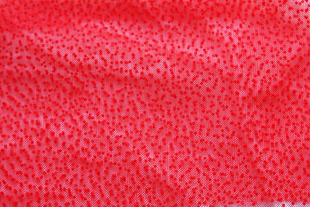 Flocking on Tulle2