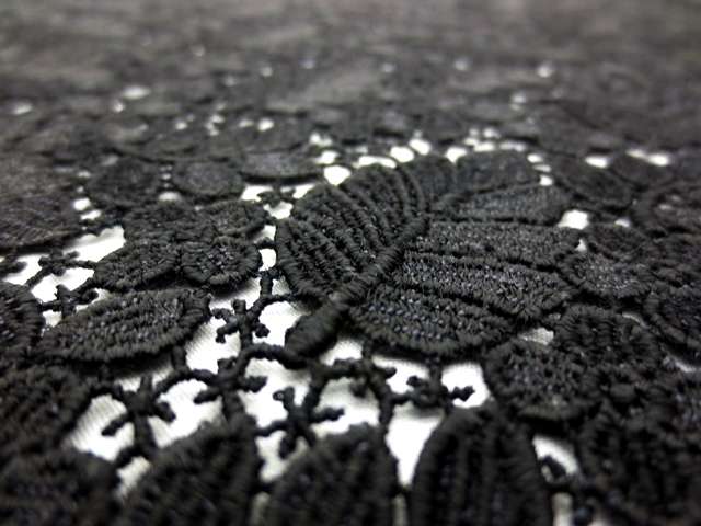 Guipure Lace2