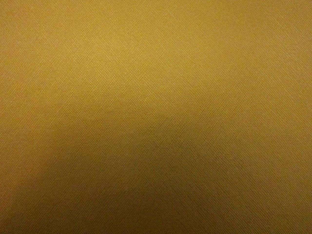 Coach Metallic Faux Leather in Antique Gold0