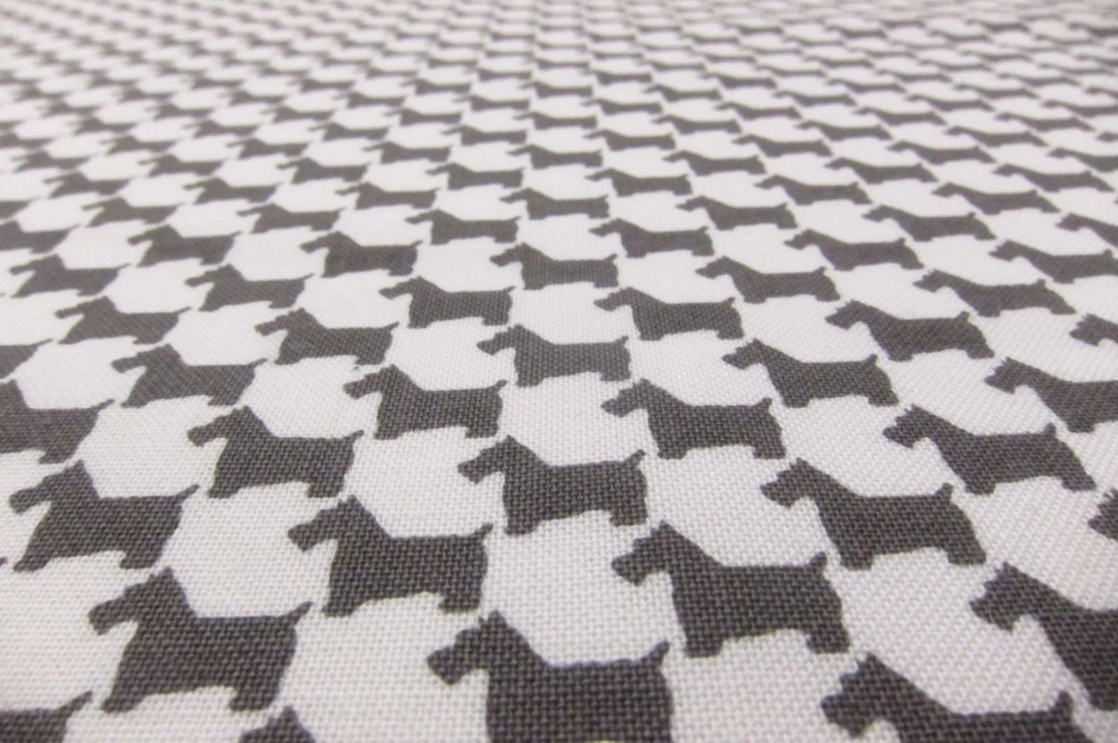 Cotton Broadcloth Print2