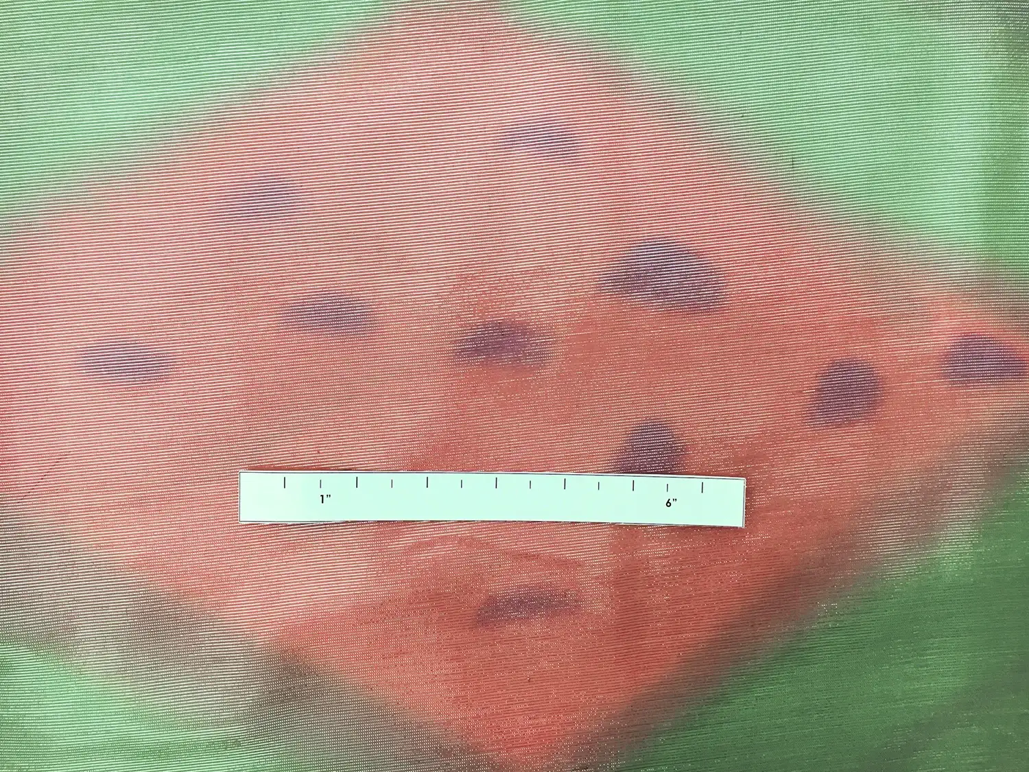 Printed Silk Lamé1