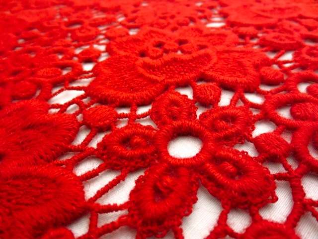 Guipure Lace2