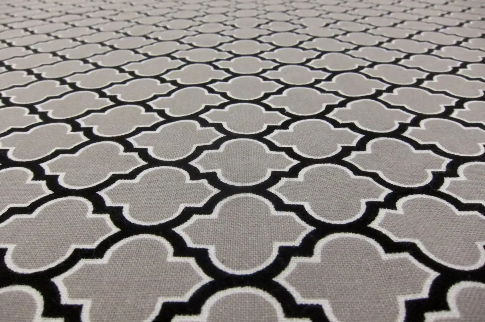 Cotton Broadcloth Print2