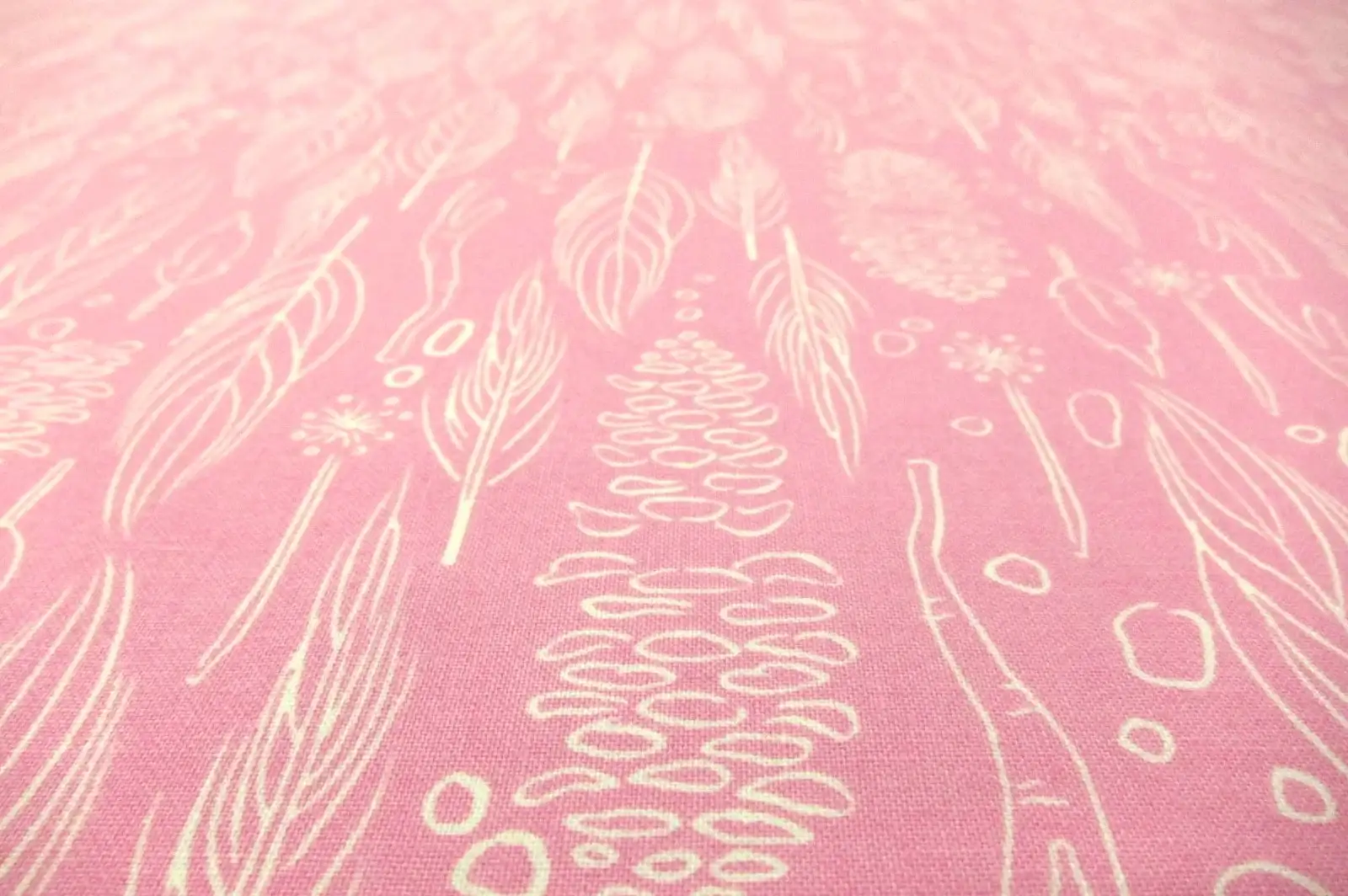 Cotton Broadcloth Print2