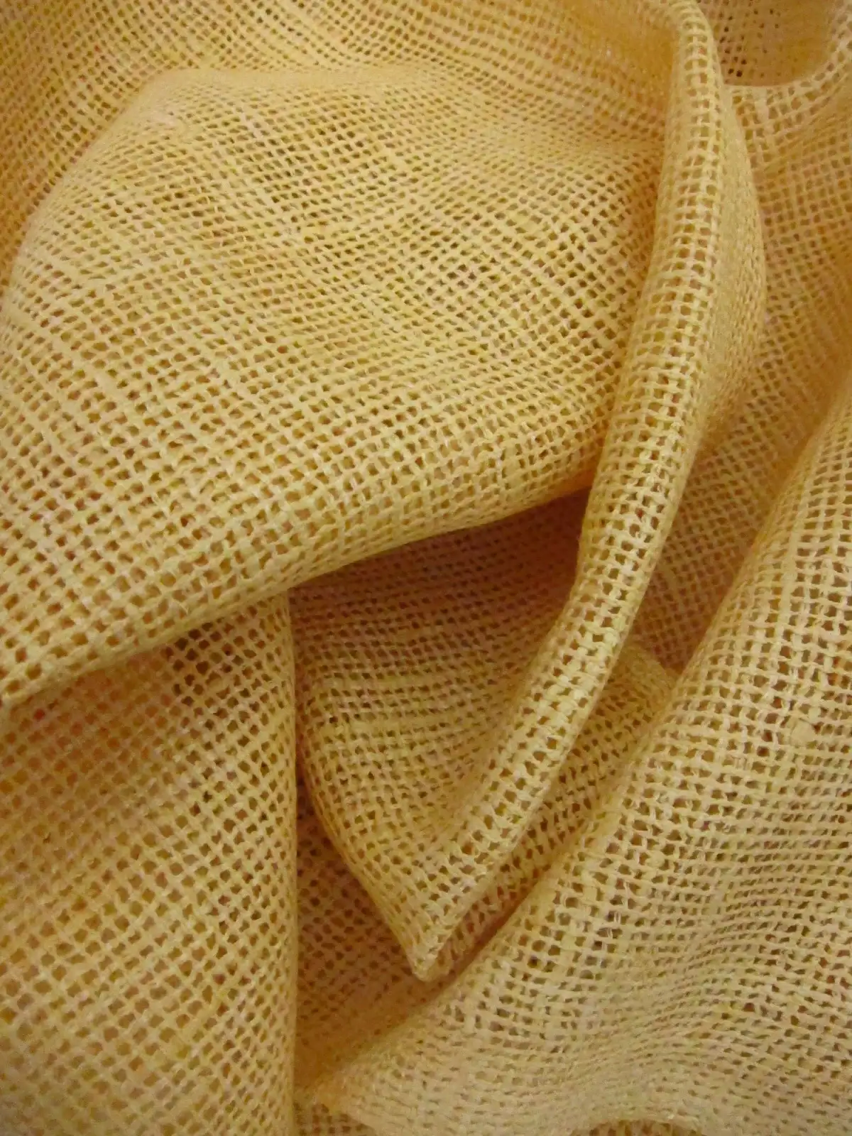 Silk Mesh1