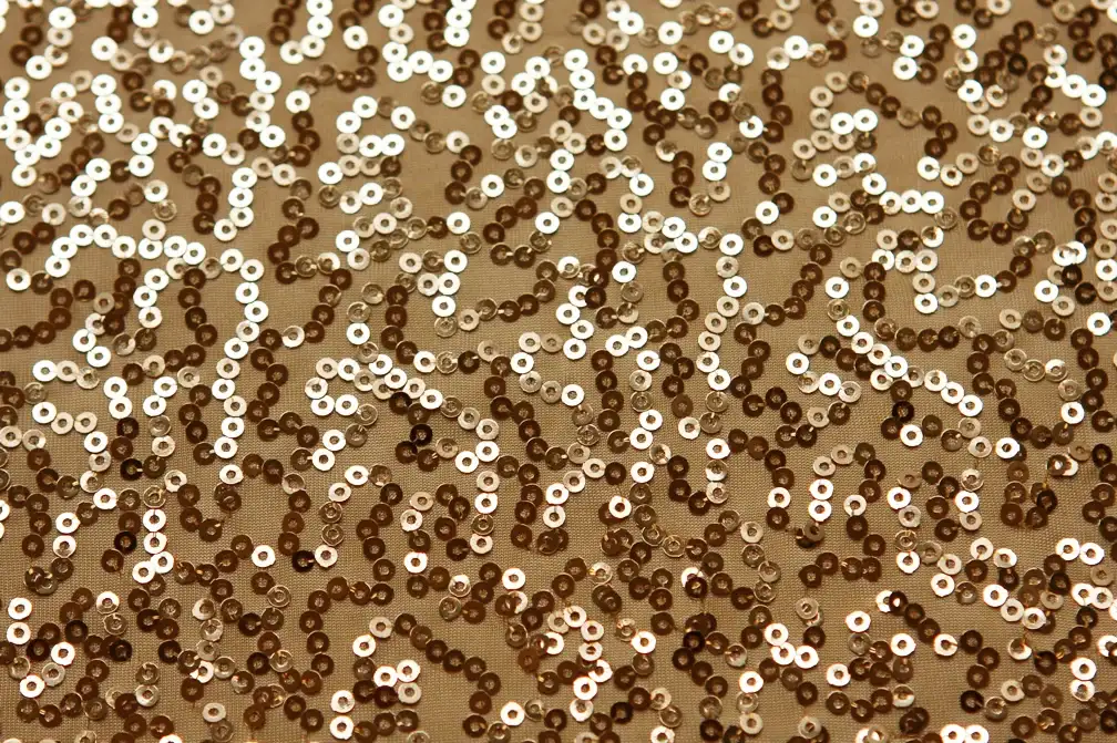 Sequined Jersey2