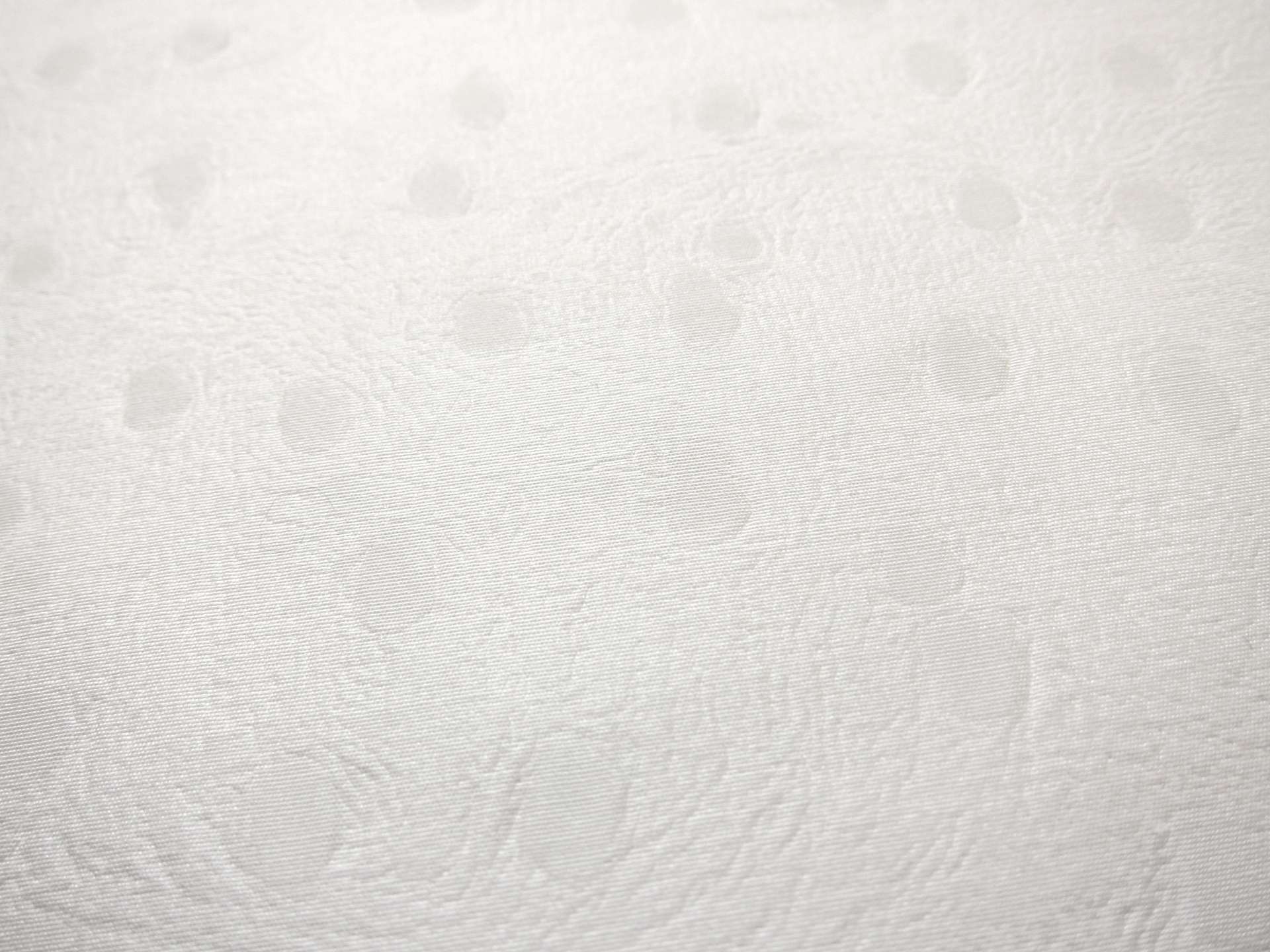 Silk Ceré0