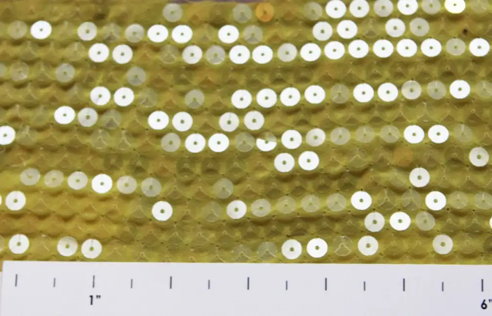 Sequins on Chiffon1