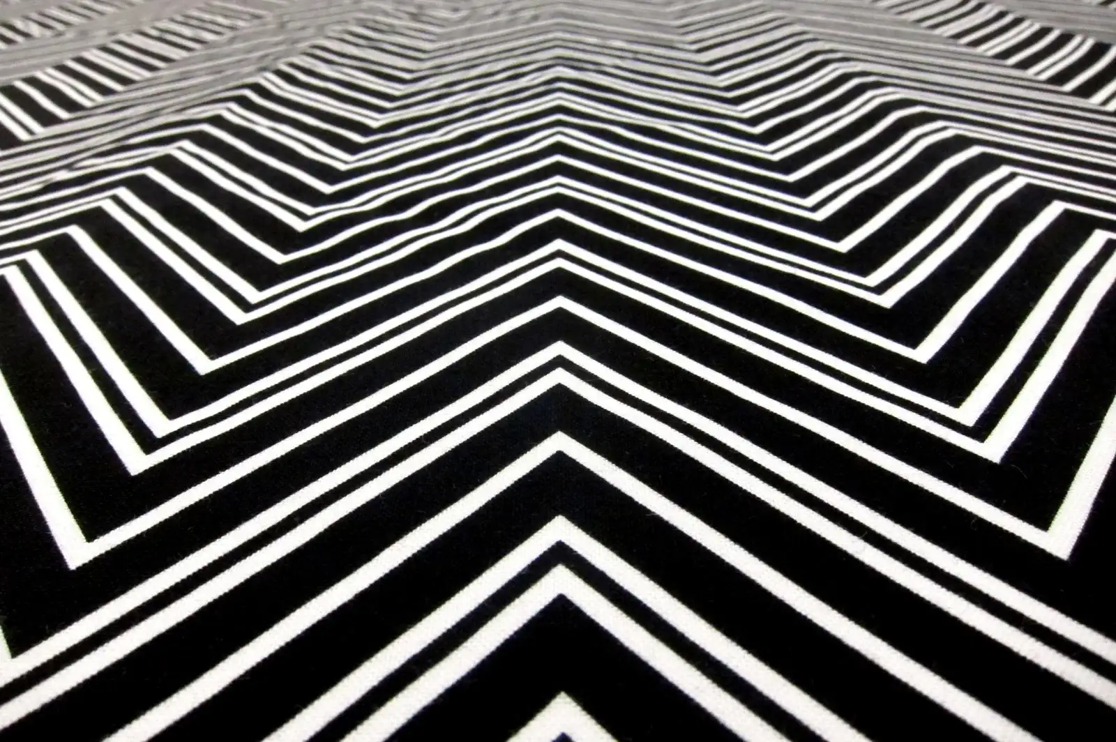 Cotton Broadcloth Print2