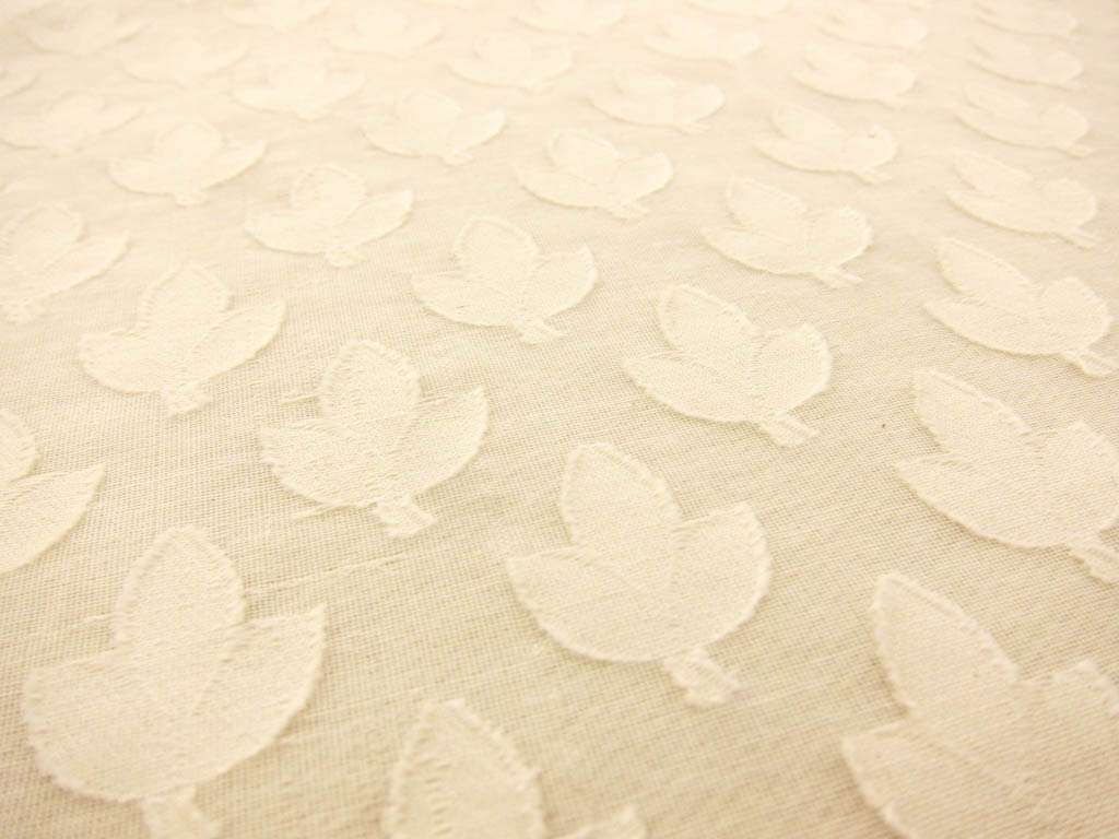 Cotton Fil Coupe2