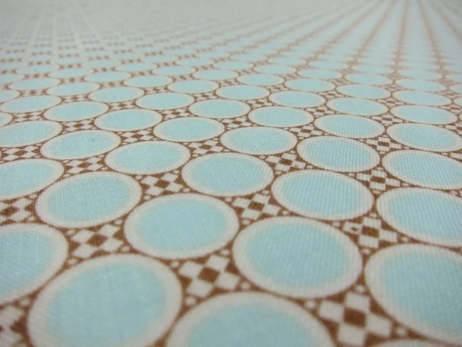 Cotton Broadcloth Print2