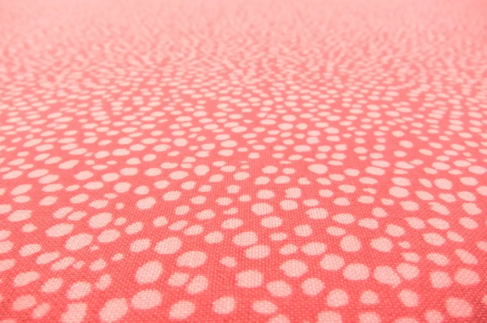 Cotton Broadcloth Print2