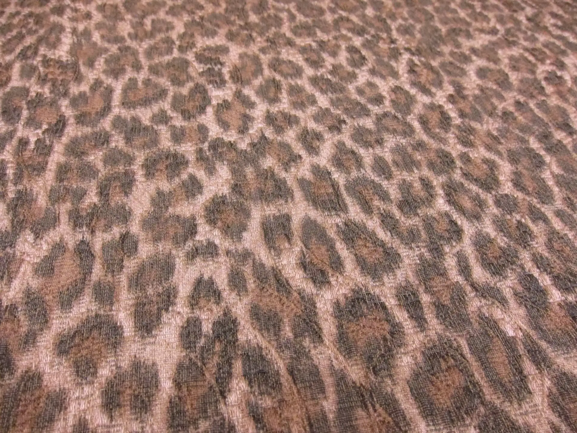  Brocade2