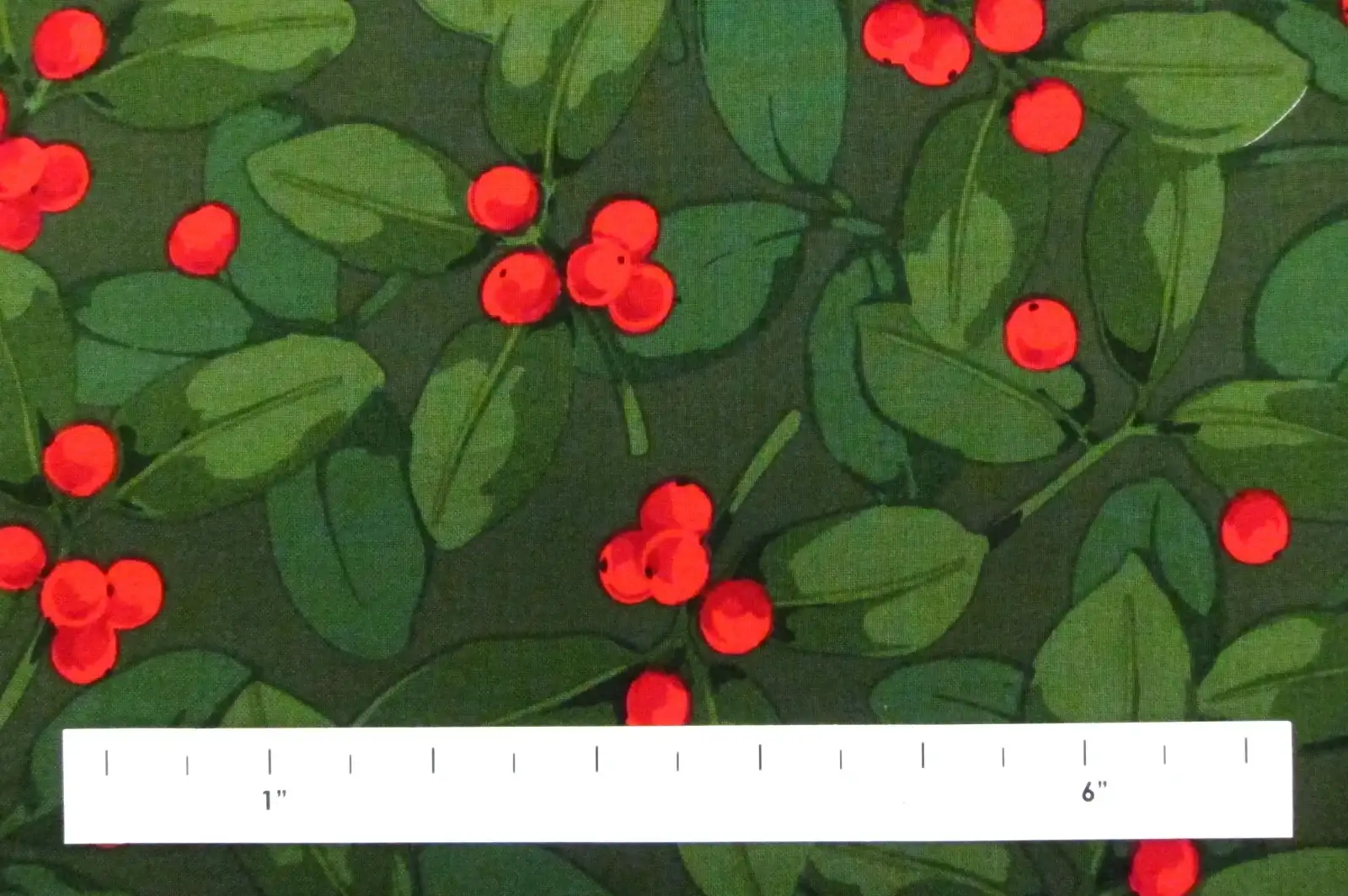 Cotton Broadcloth Print1