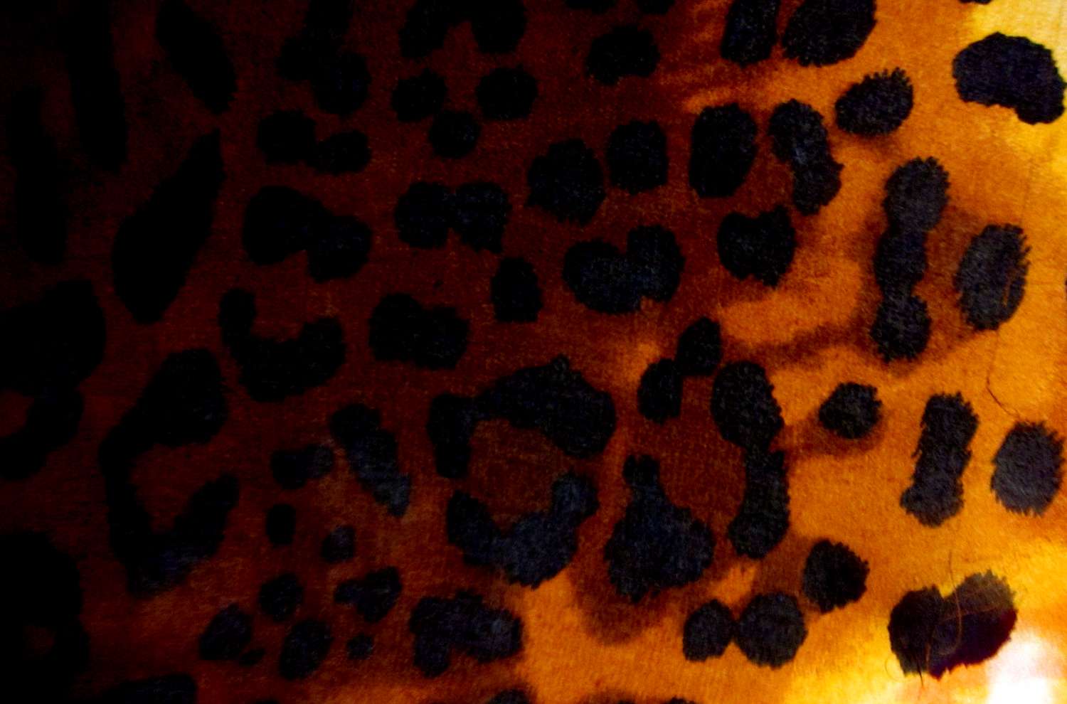 Printed Silk Chiffon0