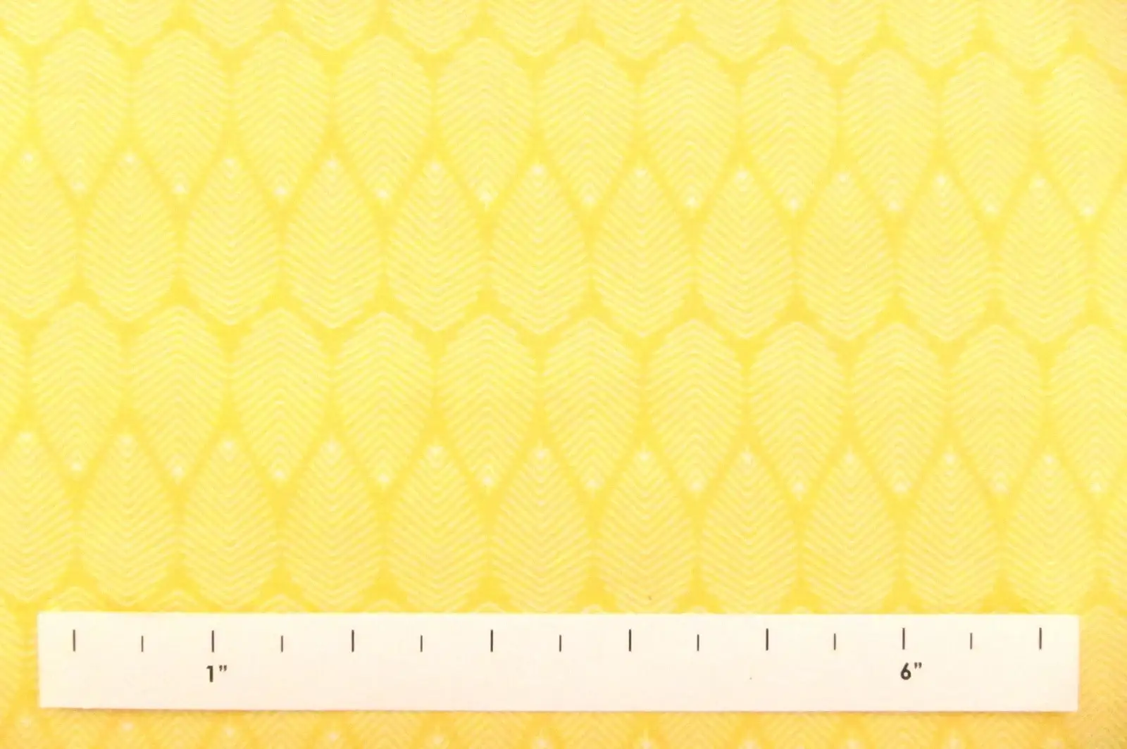 Cotton Broadcloth Print1