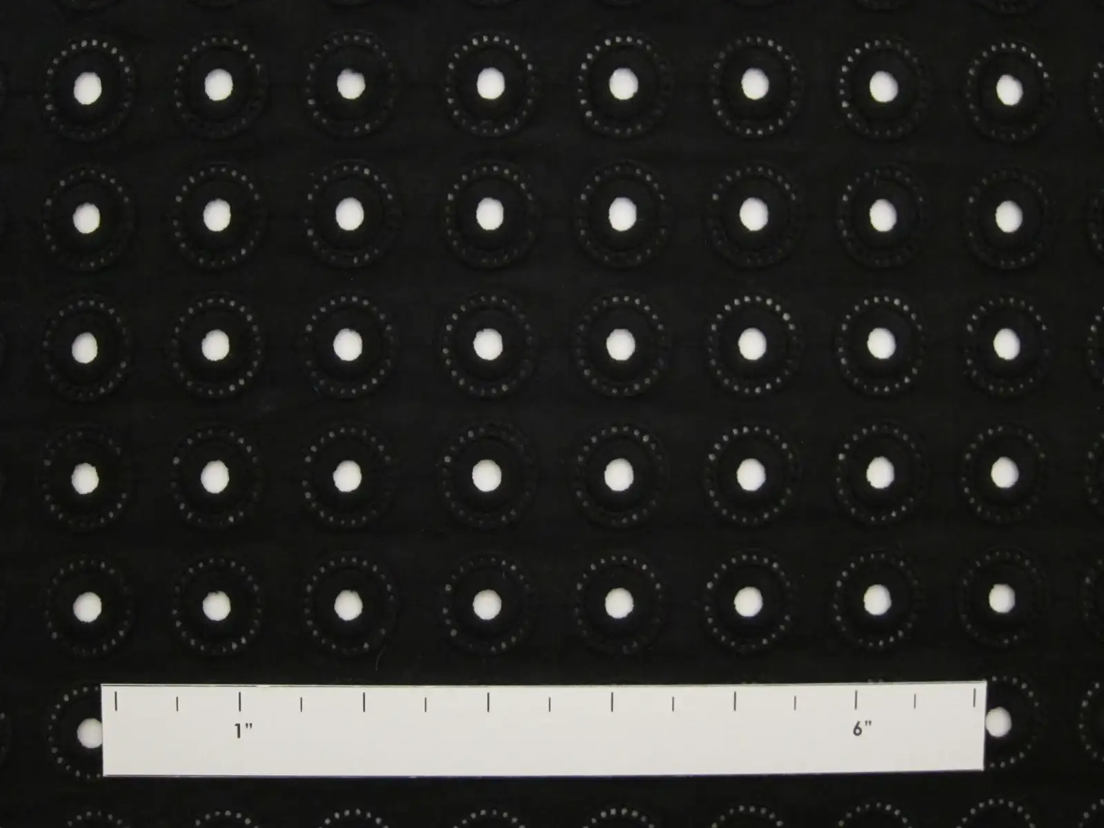 Cotton Eyelet1