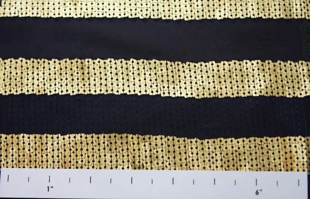 Sequins on Chiffon1