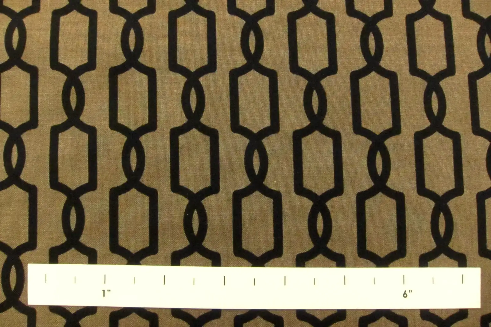 Cotton Broadcloth Print1
