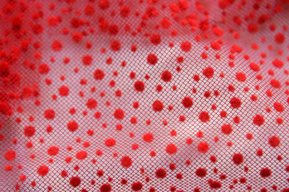 Flocking on Tulle3