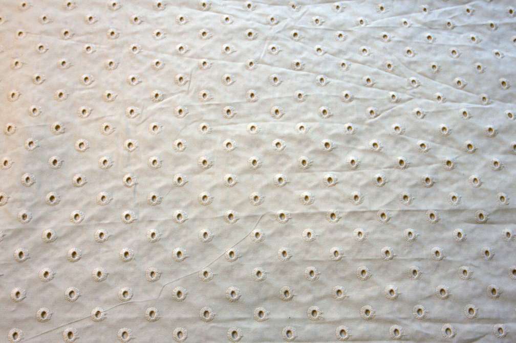 Cotton Eyelet in Cream1