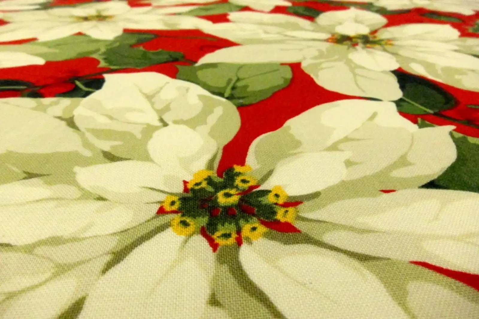 Cotton Broadcloth Print2