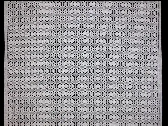 Guipure Lace3