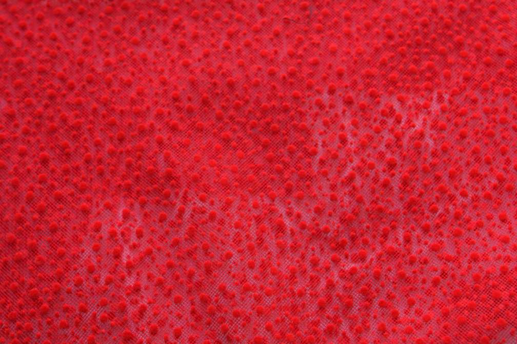 Flocking on Tulle2