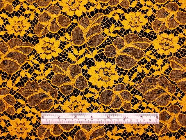 Corded Chantilly Lace1