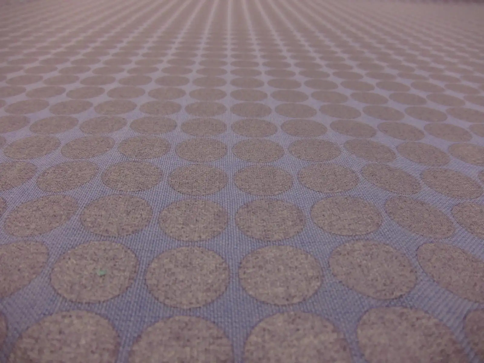 Cotton Broadcloth Print2