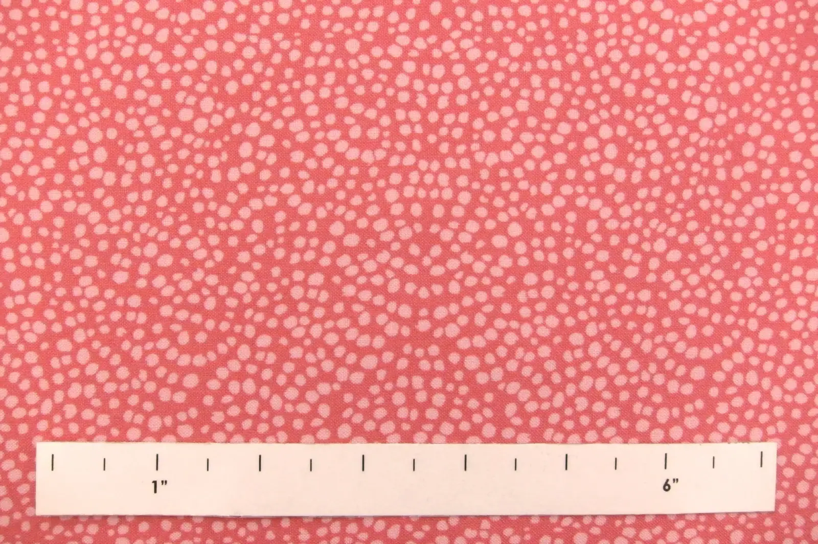 Cotton Broadcloth Print1
