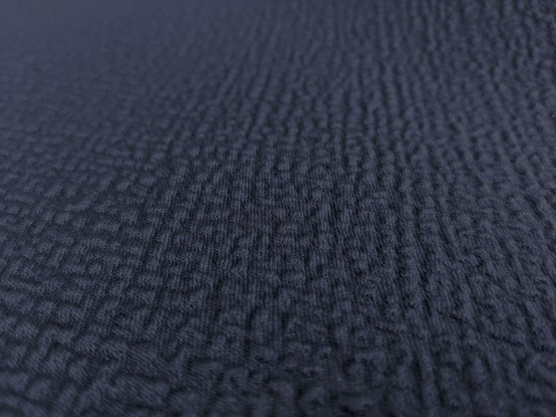 Swiss and Polyester Blend Metallic Cloqué