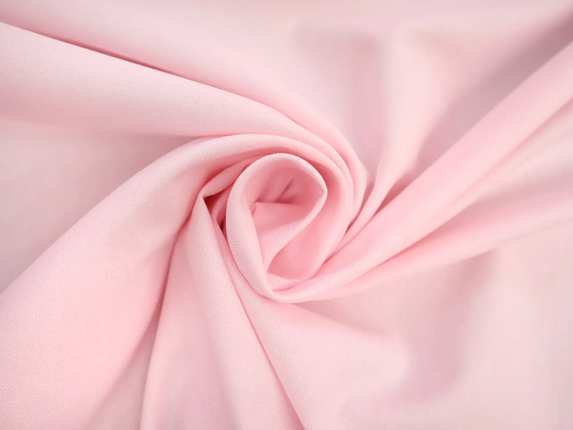 Pima Cotton Oxford in Carnation Pink