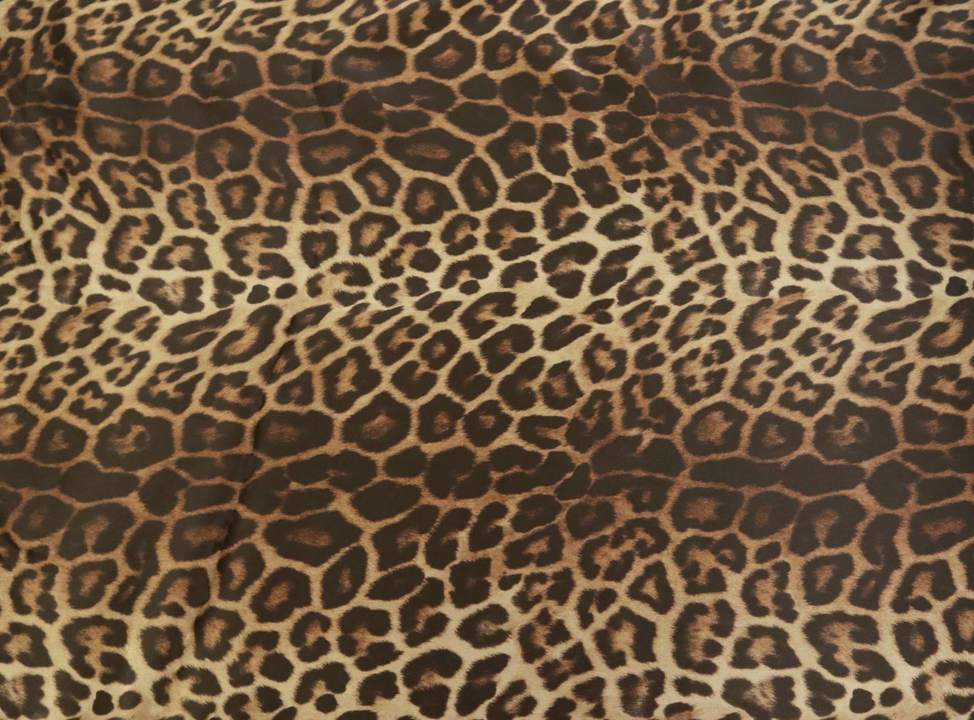 Printed Silk Organza with Animal Print