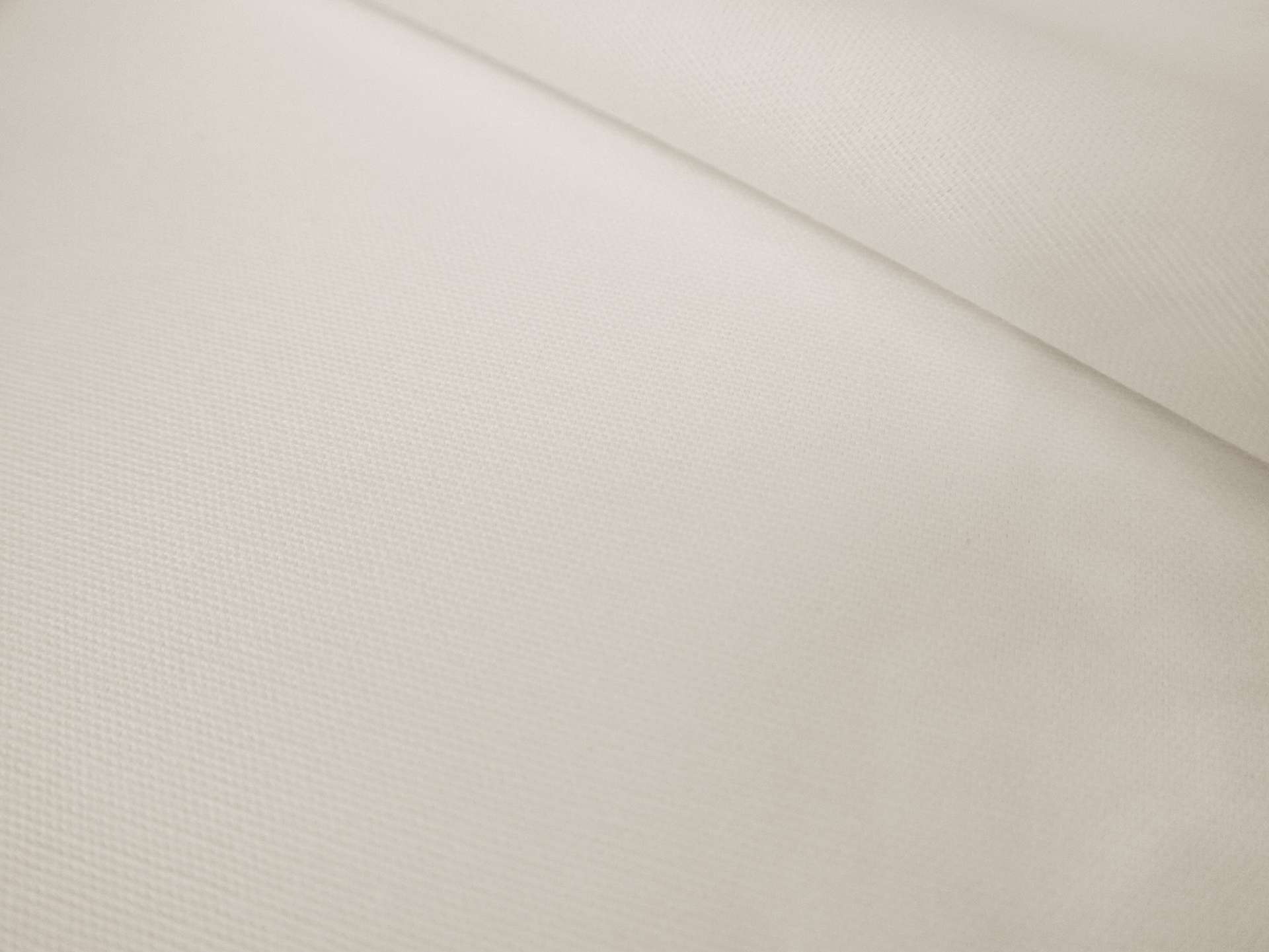 Washed Cotton Canvas in White