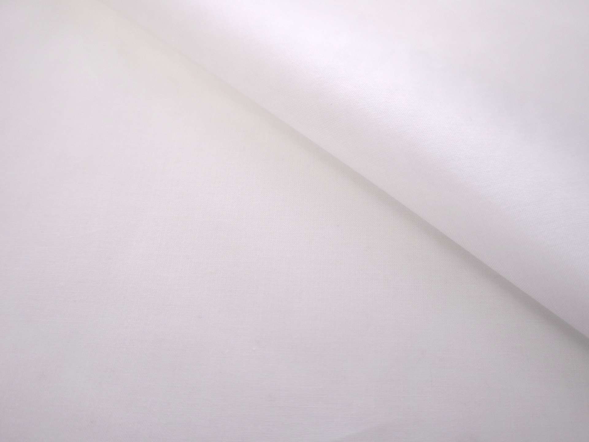 Cotton Batiste in Ivory