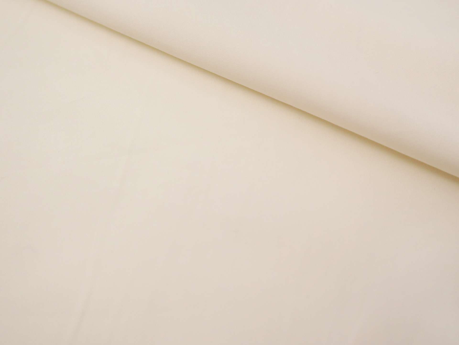 Sea Island Cotton Broadcloth in Ecru