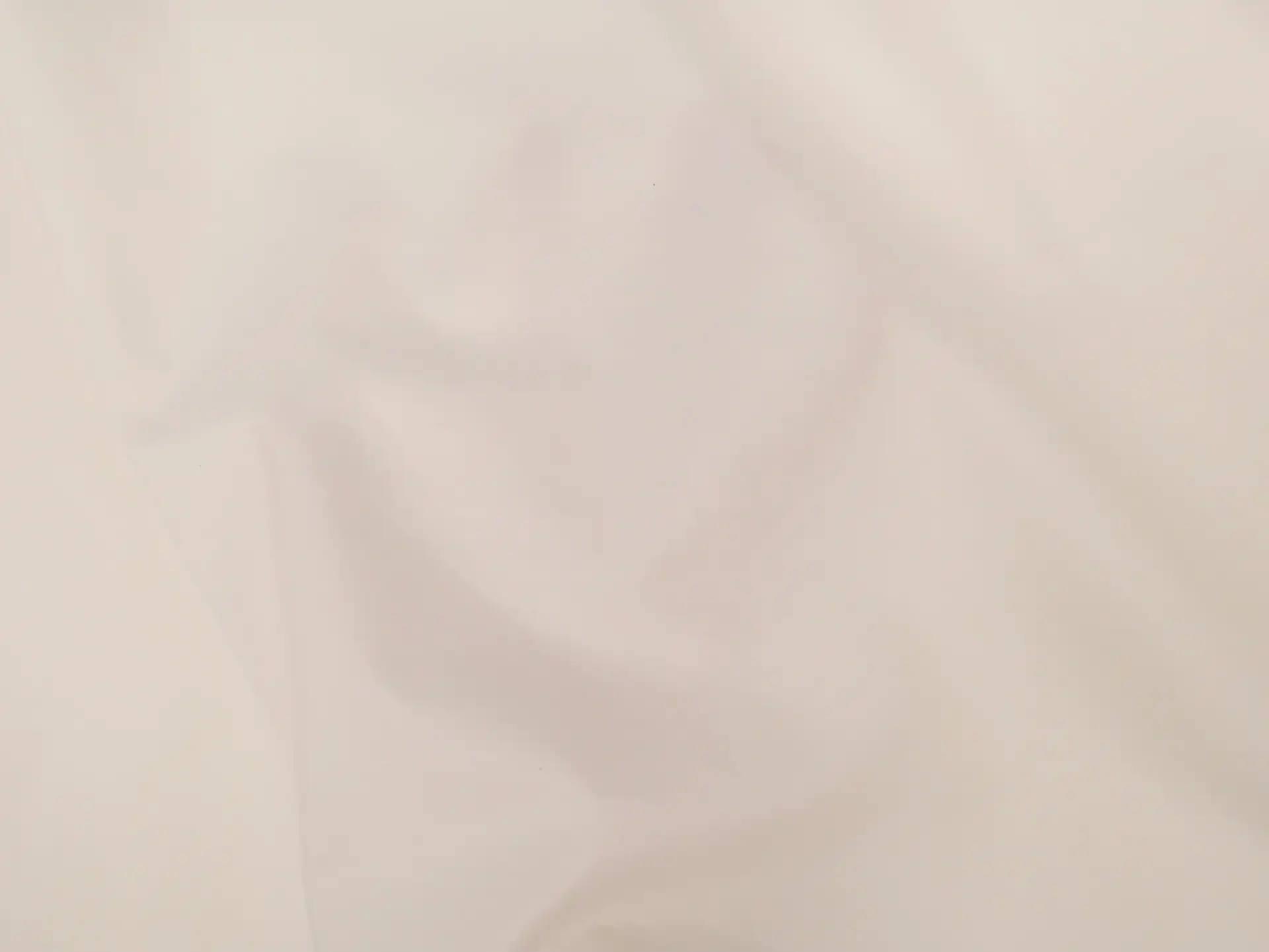 Sea Island Cotton Broadcloth in Ecru